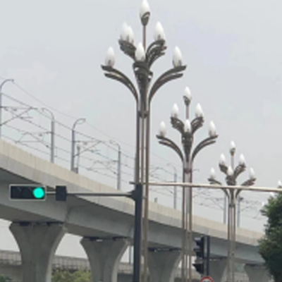 重庆市九龙坡项目