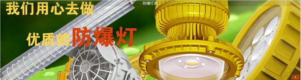 防爆照明配电箱